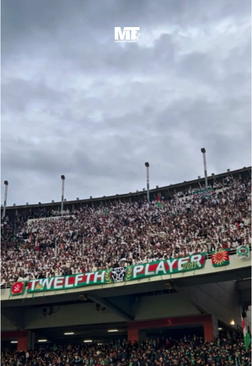 مولودية و الباقي🇮🇹 #tiktokviral  #algerie🇩🇿  #الجزائر🇩🇿  #مولوديةلجزائر💚♥️♥️  #mouloudia_virage_sud🇮🇹🙏  #مولودية🇧🇬🇧🇬_نعشق_فيهااا💚  #الشعب_الصيني_ماله_حل😂😂  #الجزائر🇩🇿😘تيك_توك_  #مولودية_الجزائر  #MCAlger  #algeria  