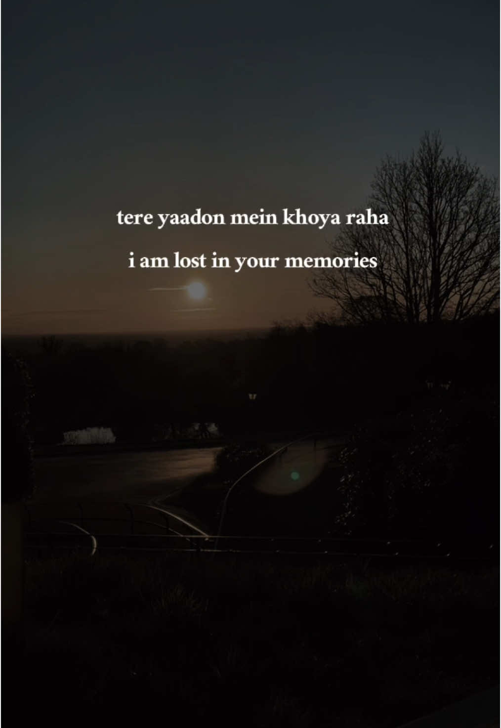 udit narayan - tune mujhko #uditnarayan #tunemujhko #tunemujhkodeewanakiya #yakeen #lyrics #englishtranslation #translation 