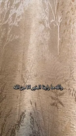 #اكسبلورexplore🌿⚡️🌿⚡️ #صباحكم_معطر_بذكر_الله 🌿🌿