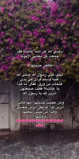 #حديث_رسول_الله #عائشه_ام_المؤمنين #f #لايك_متابعه_اكسبلور 