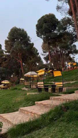❤️#tlemcen #tlemceni__13 #lalasetti #تلمسان #fypシ゚ 