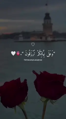#fypシ #shatialzakriat #عبارات #خواطر #UnfoldReelsandStoryEditor #اكسبلووووورررر 