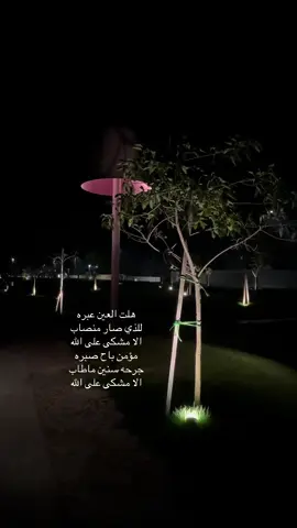 #تصويري#هلت_العين_عبرة #شبح_بيشه 