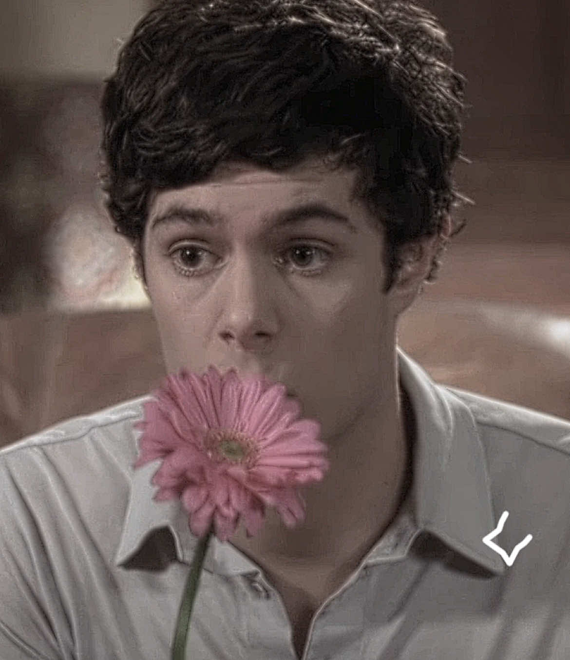 he's alright sometimes ig #blairlcna #sethcohen #adambrody #theoc #edit #viral #aftereffects #fyp #fypツ sc: ryissapacks cc: cr6cks
