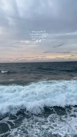 #اناعاشق_نور_عينيك #عاشق_غرامها_وسحرها #راغب_علامة #🤍🤍🤍 #اكسبلورexplore #لايك__explore___ #تصويري #فتوغرافي #عدستي #🤍🤍🤍 