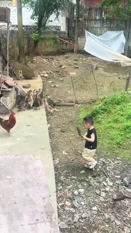#fun #cute #animals 