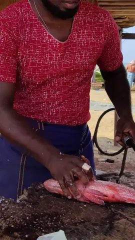 It's a red snapper...#fish #fishingtiktoks #fishcontent #fishinglife #Fishcut #viralvideos #fishcuttingskill #fishcutting #Fyp #foryo #fishcuttingvideo #fishcuttingskills