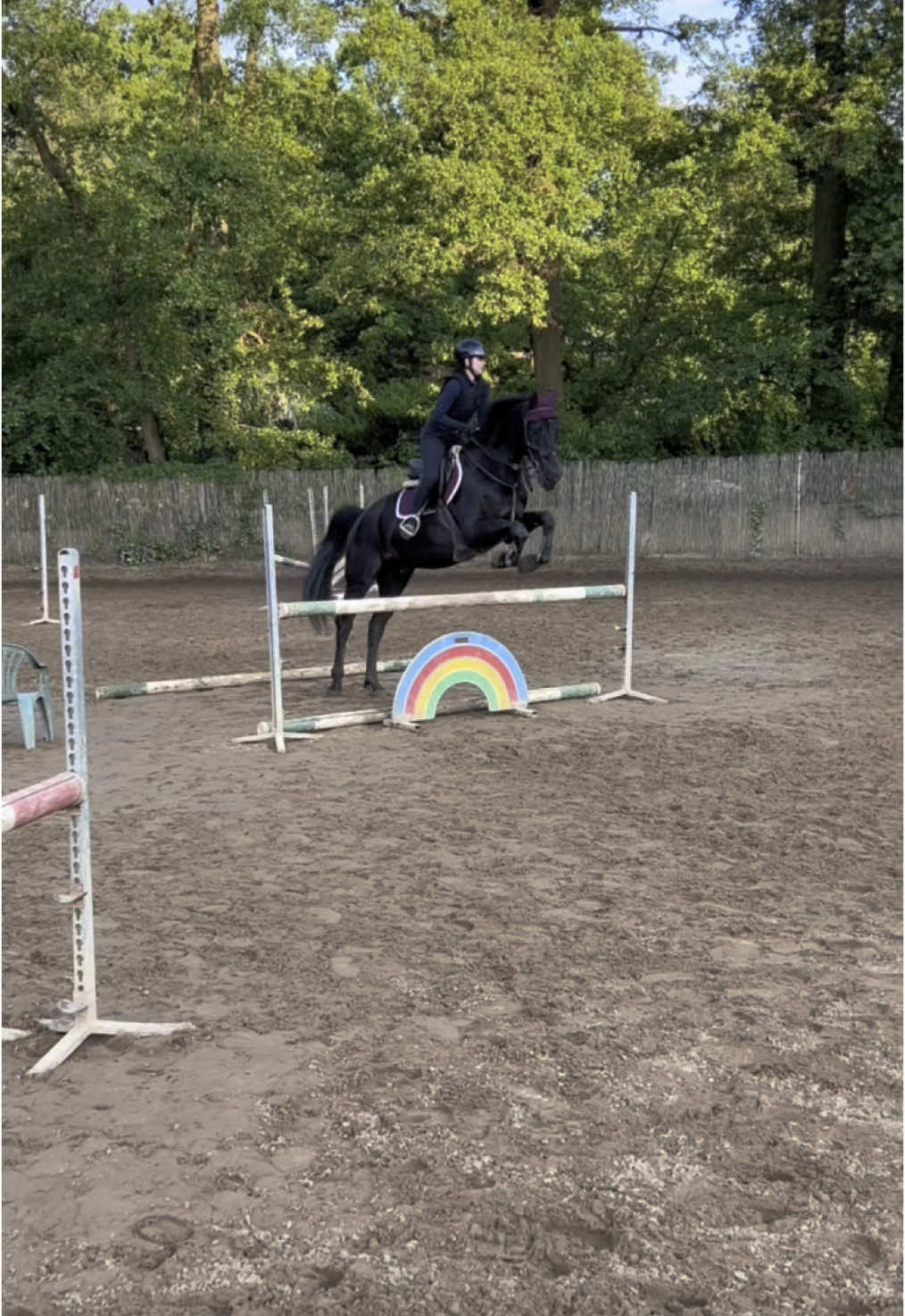 ZM & Z 🗣️🩷 #fyp #equestrian #showjumping #foruyou #training #horse 