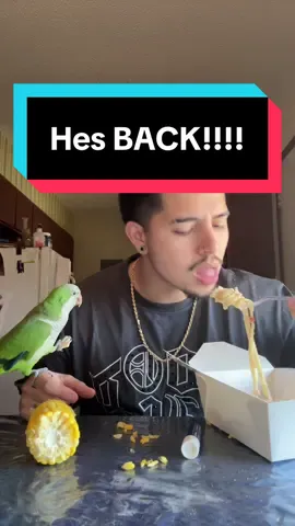 Hi chat 🙃🦜 #fyp#trending#viral#junior#hesback#alljokes#20millionviews#thankyou#nobirdswerehurt#darkhumor