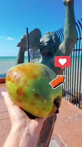 You know where I am?  You have to drive 🚗 down  to Key West if you're in Florida 🌞 and I promise you, you will NOT regret it 🐚🥥 #floridacheck #florida #keywest #bucketlist #travel #floridatravel #floridalife #floridakeys #floridavibes #thingstodoinflorida 