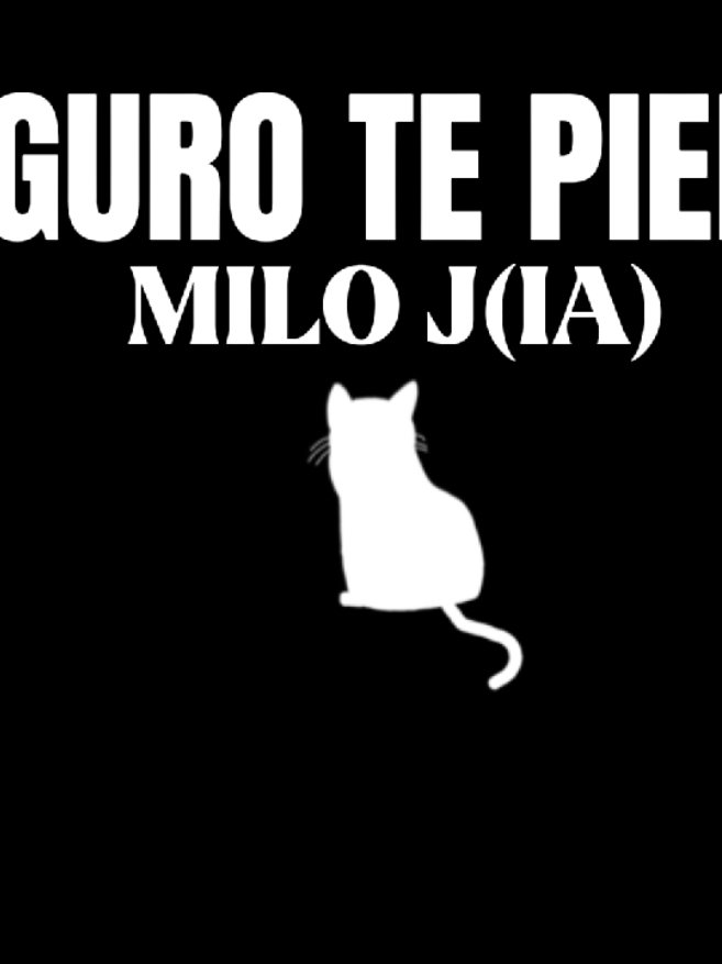 🎧🗣️ (El tema no es de Milo) #esloquehay #fypppppppppppppp #parati #fyp #lyrics #🎧 #🎵 #aguantemiloj #miloj #milo #nose #❤️ #✨ #segurotepierdo 