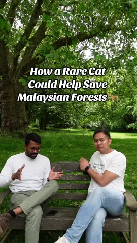 Chrishen is a PhD at @University of Oxford studying a really cool animal, the clouded leopard.  In this #kerjaabroad episode, I speak to him as to why this animal is so important and how does it help understand the biodiversity health of Malaysia 🐆 #fyp #theinternationalmalaysian #malaysiansabroad #oxforduniversity #phdstudent