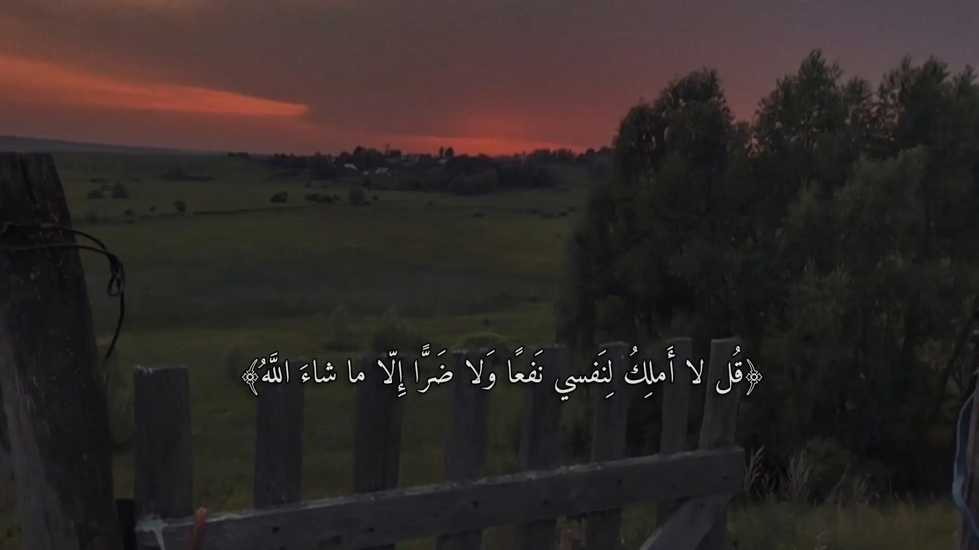 #محمد_ديبيروف #quran #قران_كريم #قران #اجر_لي_ولكم #صدقه_جاريه #نصائح 