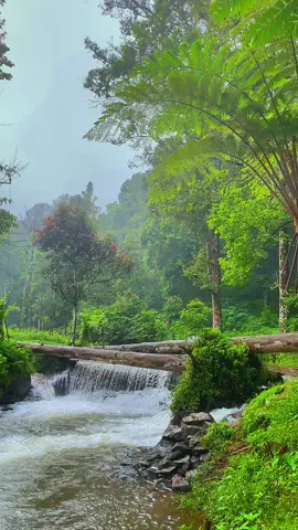 Selamat pagi 🍃🥶 #cicalengka #tukangulin #bandung #bandunghits #wisatajabar #enjoytrip #masukberanda #fyp #jabar 