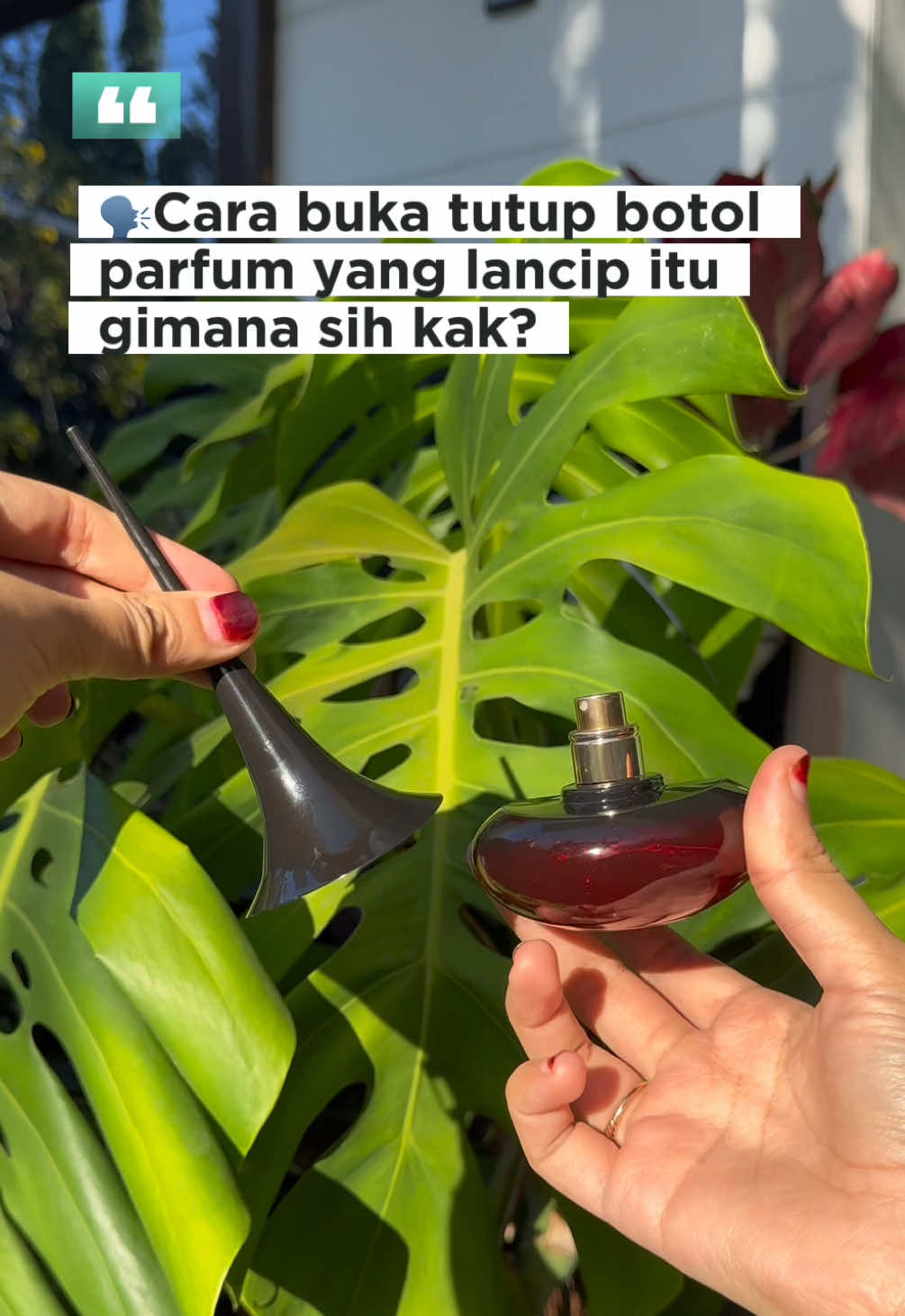 Tiap live ato ketemu customer yang megang parfum Love Potion ini sering nanya “Kak cara buka tutup botol parfum yang lancip ini gimana sih? #CapCut #lovepotion #parfumlovepotion #parfumlovepotionoriflame #parfumorfilame #oriflame #oriflame_products 
