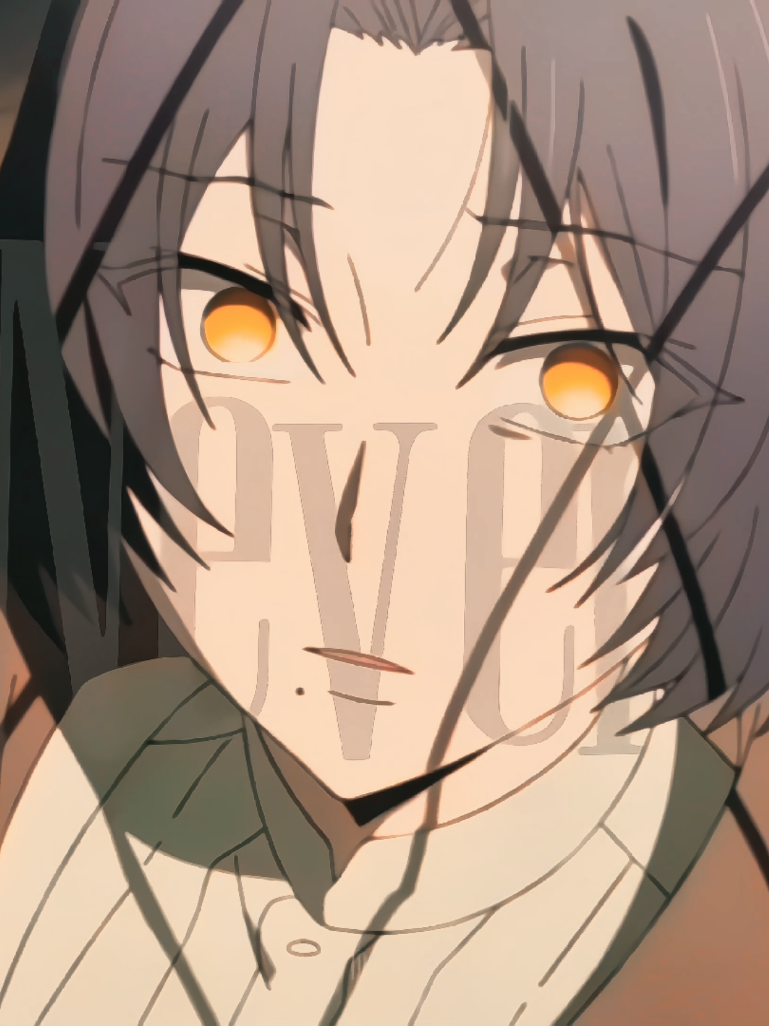 #vanitasnocarte #vanitas #luidesade #recommendations #anime #мемуарыванитаса #мемуары #луидесад #луи #goldenbrownsong 
