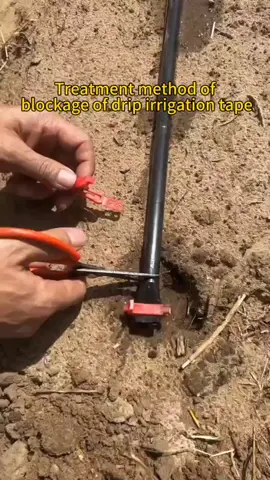 #agricultural irrigation#Irrigation facilities#Drip irrigation#sprinkler irrigation#Made in China#export