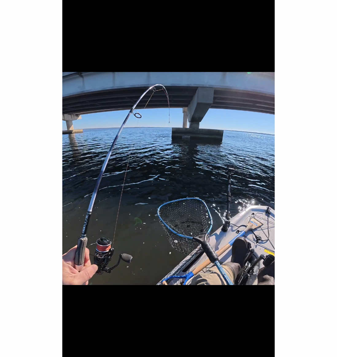 Big Fish Love Tiny Baits! #fishing #fyp #saltwaterfishing #fishtok 