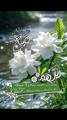 صباح الخير صباح الورد #صباح_الخير  #دعاء_يريح_القلوب 