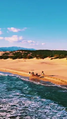 #mojo.video 
