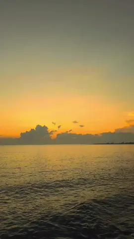 #azzahir #caknoer #nurulwujud #majelisazzahirofficial #habibalizainalabidinassegaf #senja #senjavibes #fypシ゚ #fypシ゚viral🖤tiktok #fypシ゚ 
