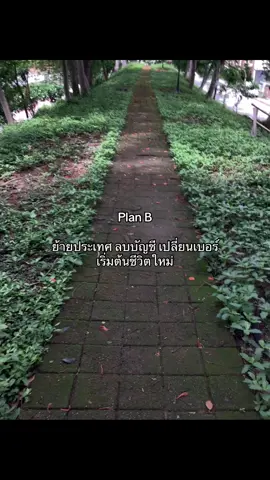 #fyp #japan #เธรดที่ไม่ใช่เธรด 