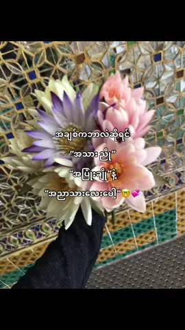 အညာသား lover🤪🫶🏻#fyppppppppppppppppppppppp #fyppppppppppppppppppppppp 