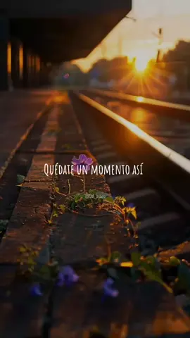 Que ya lo entendí que no eres para mí 🥹🥀.. #musica #fypage #paradedicar #parati #desamor #triste #sinbandera #lyrics #foryourpage #letras 