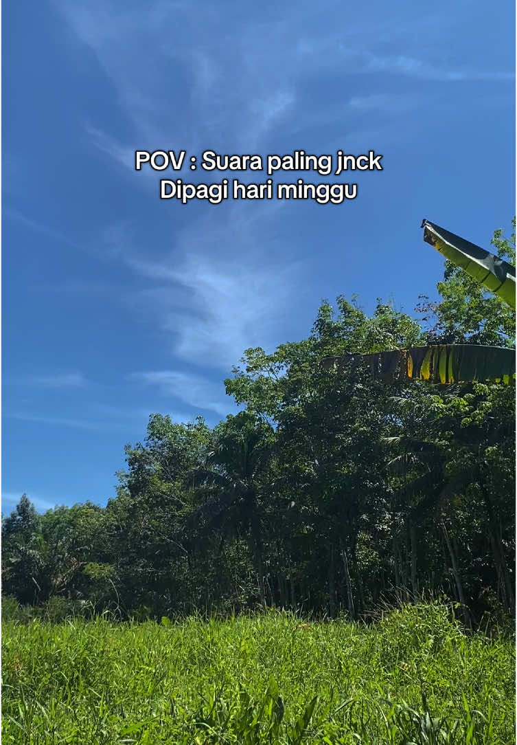 Ngampas we dibuatnye😂 #fyp #viral #videongakak #minggu #pagiahad #storywa #soundngakak #sambas #sambaskalimantanbarat 