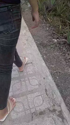 chất  đã quên 