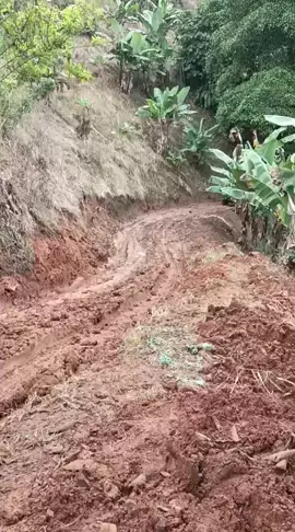 transporte de alimentos de la vereda al pueblo en la mulita de acero#paratiiiiiiiiiiiiiiiiiiiiiiiiiiiiiii #paratii #colombia🇨🇴 #jeep #colombia #parati #williz 