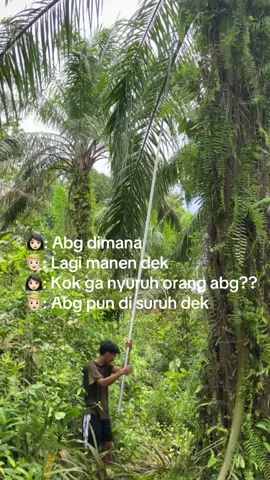 Cemana lah adek nii🥹 #masukberandafypp#kulisawit#Trend#fyppp#capcut#foryou