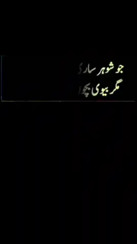 #trendingvideo #anmol #urdupoetry #motivational #speechless #deeplines #viralvideo #eid #foruyou #fyp #foru 