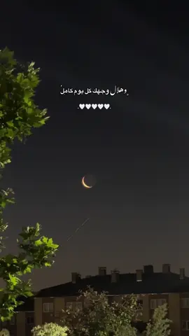 منشن 🤍 #مضر_بن_خالد #fypシ #تصويري #تصميم_فيديوهات🎶🎤🎬 #الحمدلله_دائماً_وابداً 