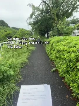 Ôm đống đề cường ôn thi đi khắp nơi