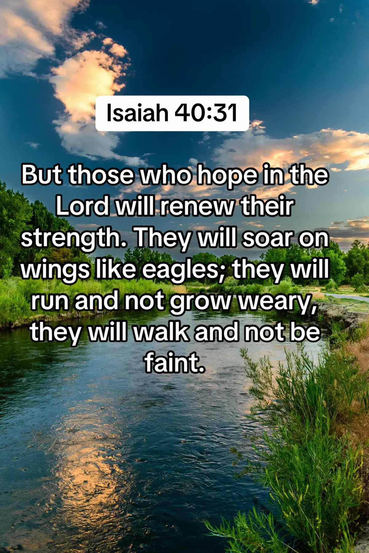 But those who hope in the Lord will renew their strength. They will soar on wings like eagles; they will run and not grow weary, they will walk and not be faint. Isaiah 40:31 #biblequote #viral #quotes #jesus #praise #worship #motivation #