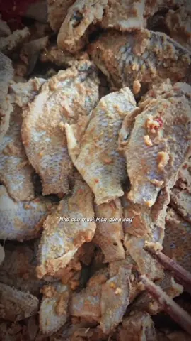 Mắm phi chua Cà Mau#xuhuong 