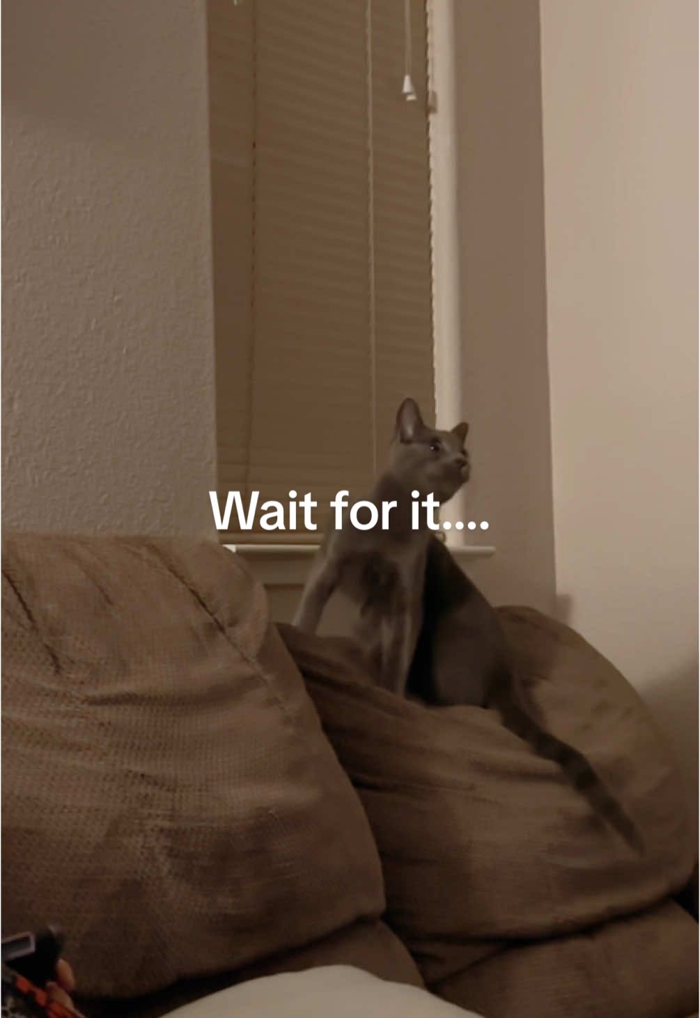Wait for it wait for it wait for it….
