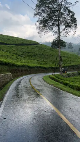 Kalo udah kesini teh bawaan nya ga pengen pulang🥺🍃 #ciwidey #bandung #fypp #explorebandung 