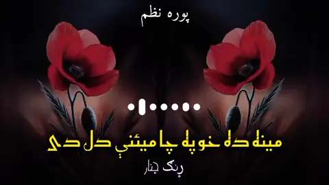 مینه څه ده 💘💔🌹 @بې پروا👒  . . ####rungcheainer1  ####bayparwa6 