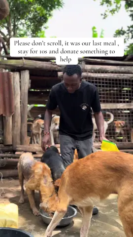 #animalsoftiktok 