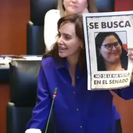 Lilly cómo siempre diciéndole sus verdades a los legisladores de morena. #lillytellez #presidentademexico #2030  #PAN #Mexico #viraltiktok #verdad 