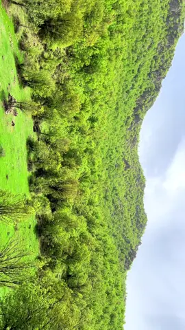 kurdistan  كوردستان 