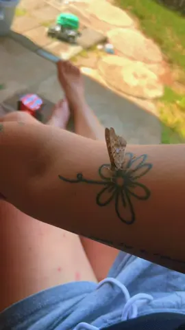 I fixed it the other one was too long  #butterfly #butterflies #butterflytattoo #flowers #flowertattoo #whereisit #wheretfisit 