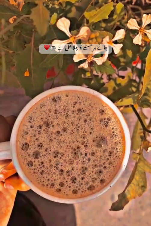 Chai har masaly ka pehla hal hai ☕️♥️ #chai #chaye #chaa #tea #tealover #tealovers☕💗 #teapoetry #chaishayari #chaipoetry🥀 #tealovers☕ #fyp #foryoupage❤️❤️ #foryour #fypviralシ #viralvedio #viraltiktokvideo 