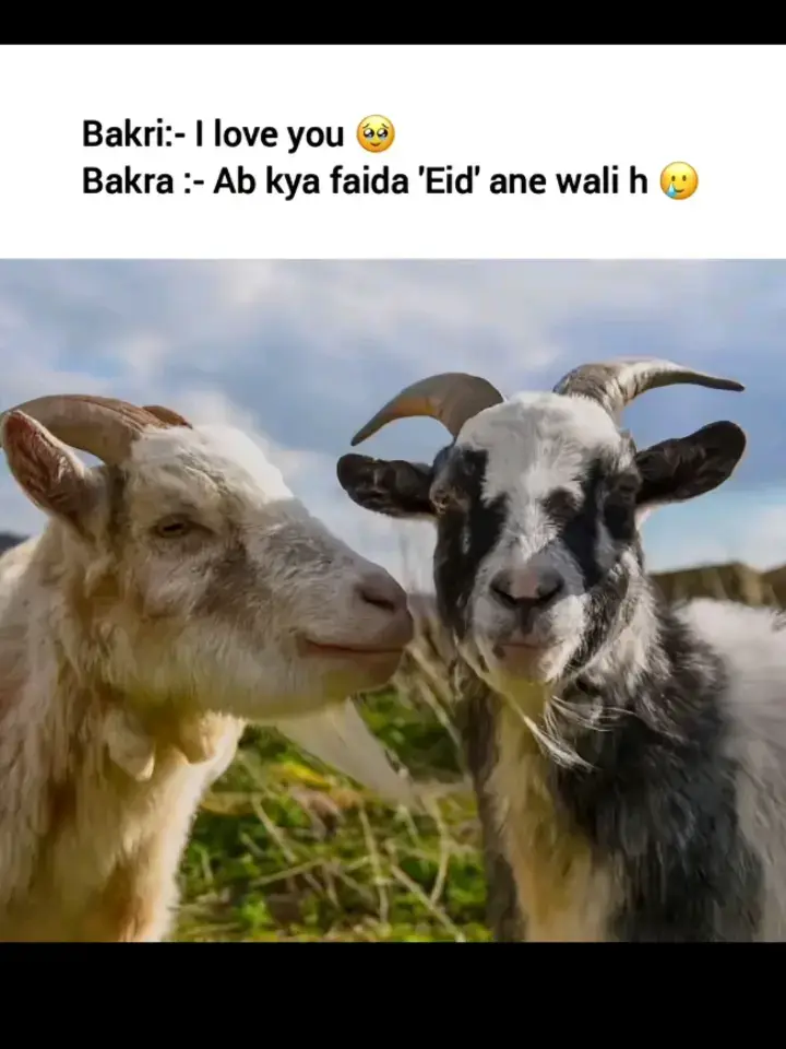 #viralvideo #viraltiktok #viral?videotiktok😇😇 #1millonview❣️ #tik_tok #tik_tok #viraltiktok #viral?videotiktok😇😇 #viral?videotiktok😇😇 #viraltiktok