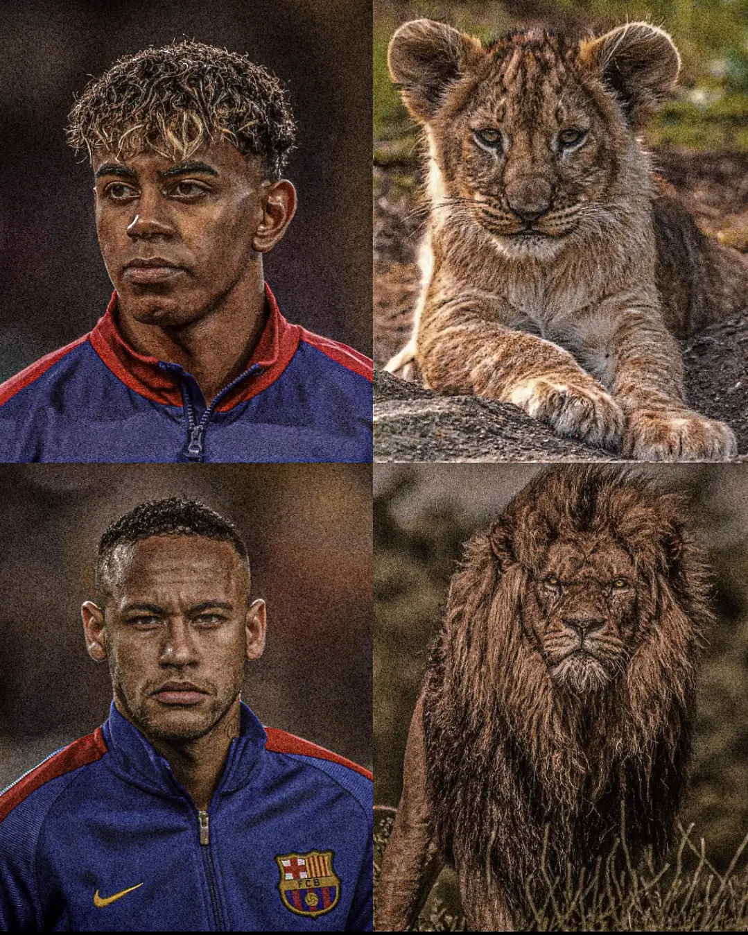 From Cub to King... From a rising star to a living legend. The top half of the image tells the beginning of the journey.. A young player wearing the Barça crest, eyes full of fire, heart full of dreams. Beside him, a lion cub-innocent, small, but holding the potential of greatness deep inside. Now look at the bottom... Every Barça icon started this way. Not with power, but with purpose. Its the natural evolution: Neymar. One of the greatest to wear the Blaugrana shirt. Next to him stands a lion-not just any lion, but the king. Strong, fearless, Commanding. Motivational Quotes: From a kid with a dream... to a warrior who inspires millions. 