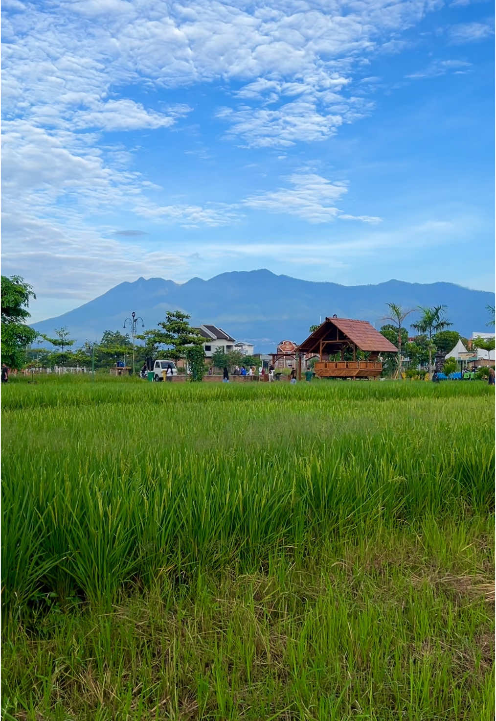 Sejuk dan pemandangannya indah 🏔️ #nkcaffeemalang #brillyhidayat #malang #malnghits 