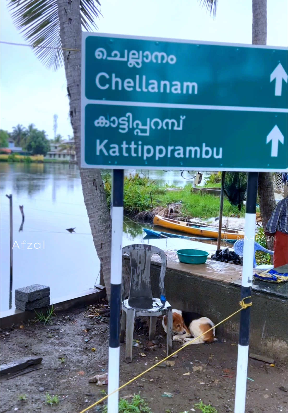 ചിലപ്പോഴൊക്കെ എനിക്ക് എന്റെ മൗനമാണ് ഇഷ്ട്‌ടം . 
 ആരെയും വേദനിപ്പിക്കാതെ ശല്യം ചെയ്യാതെ എന്നിലേക്ക് തന്നെ ഒതുങ്ങുന്ന എന്റെ മൗനം.#chellanam #kochi #sad #വിരഹം #malayalamsong #song #kerala #narivetta 