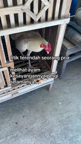 SING TENANG LE☺️